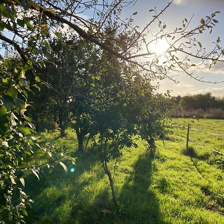 Une Maison, Un Jardin Berthenay Esterno foto