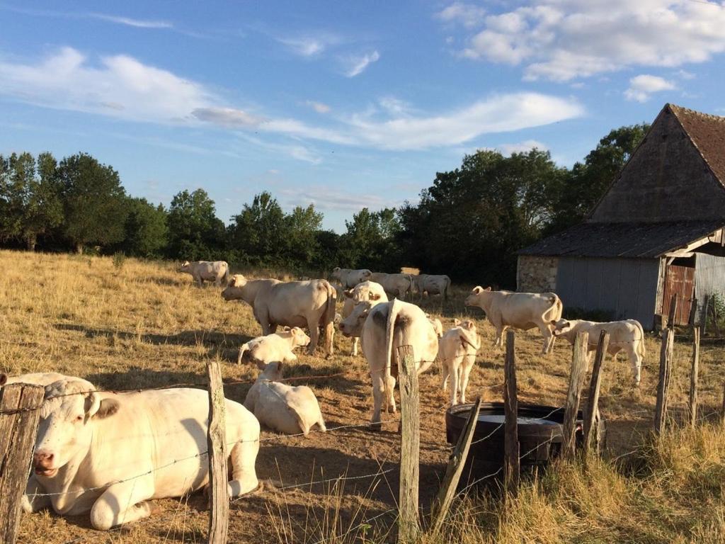 Une Maison, Un Jardin Berthenay Esterno foto