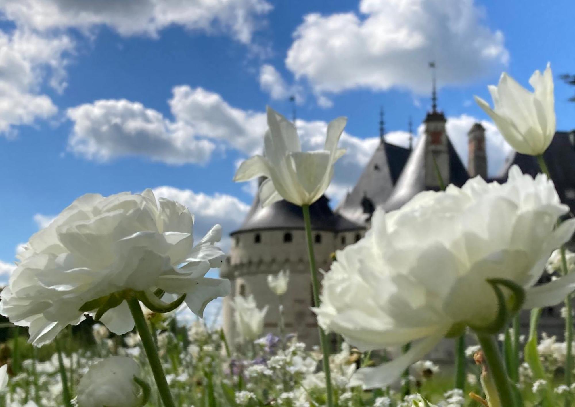 Une Maison, Un Jardin Berthenay Esterno foto