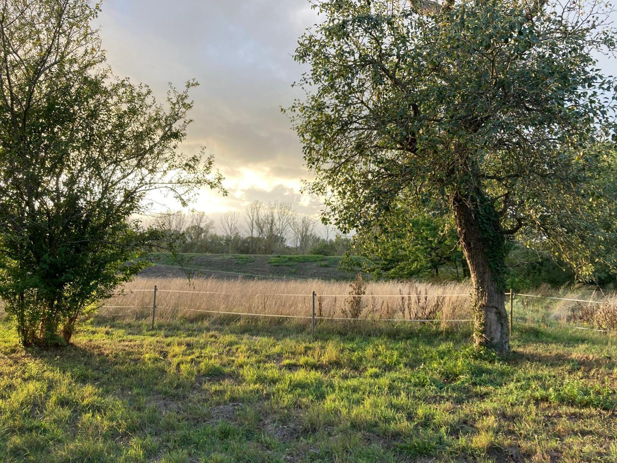 Une Maison, Un Jardin Berthenay Esterno foto